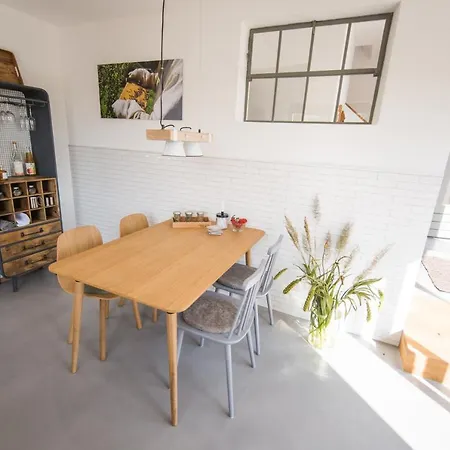 Viereinhalb Eichen - Am Niederrhein