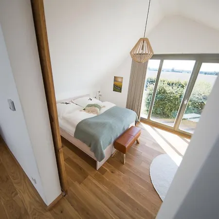 Viereinhalb Eichen - Am Niederrhein ゴッホ