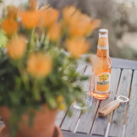 Viereinhalb Eichen - Am Niederrhein *