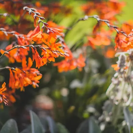 Viereinhalb Eichen - Am Niederrhein Apartamento Goch