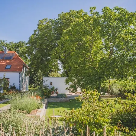 Viereinhalb Eichen - Am Niederrhein ゴッホ