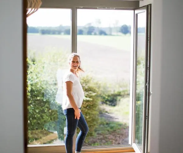 Viereinhalb Eichen - Am Niederrhein