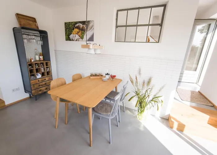 Viereinhalb Eichen - Am Niederrhein