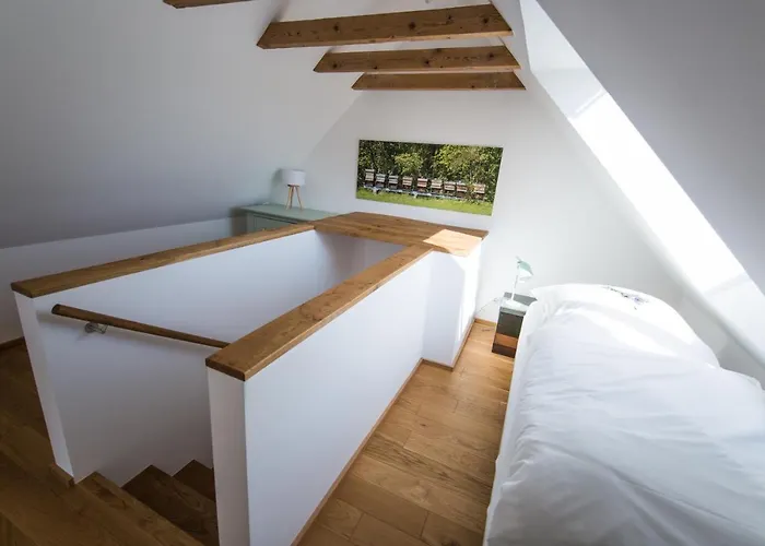 Viereinhalb Eichen - Am Niederrhein *