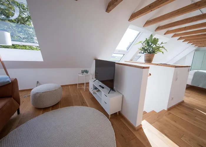 Viereinhalb Eichen - Am Niederrhein *