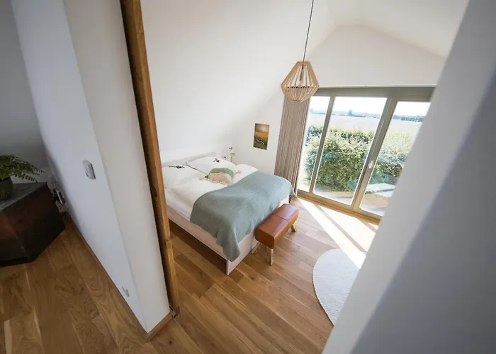 Viereinhalb Eichen - Am Niederrhein Goch