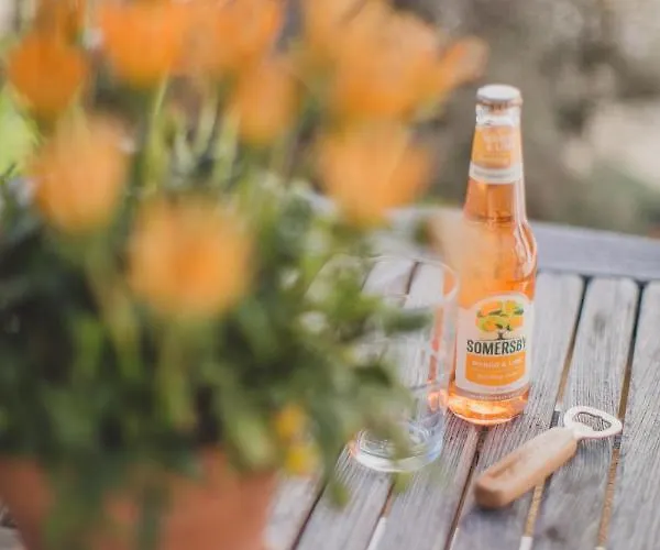 Viereinhalb Eichen - Am Niederrhein *