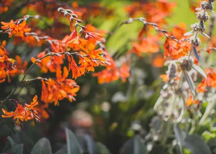 Viereinhalb Eichen - Am Niederrhein Lejlighed Goch