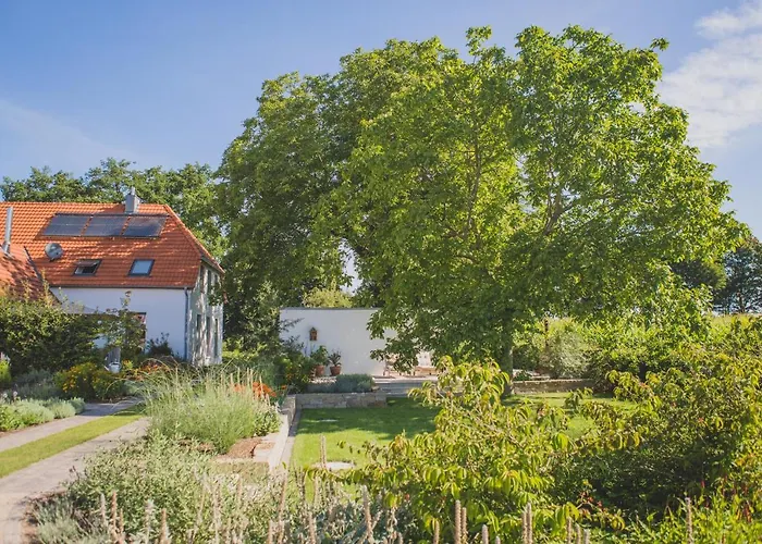 Viereinhalb Eichen - Am Niederrhein 고흐