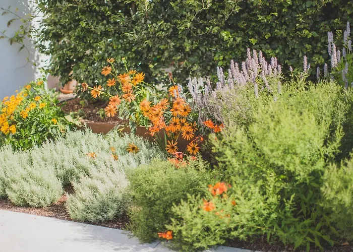 Viereinhalb Eichen - Am Niederrhein 아파트
